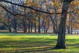Möbliertes Einzelzimmer mit eigenem Bad am Treptower Park