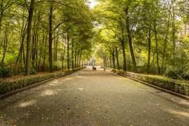 Möbliertes Einzelzimmer mit eigenem Bad am Treptower Park
