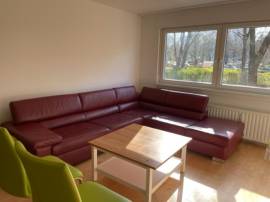WGs in 3 Zimmer Wohnung
